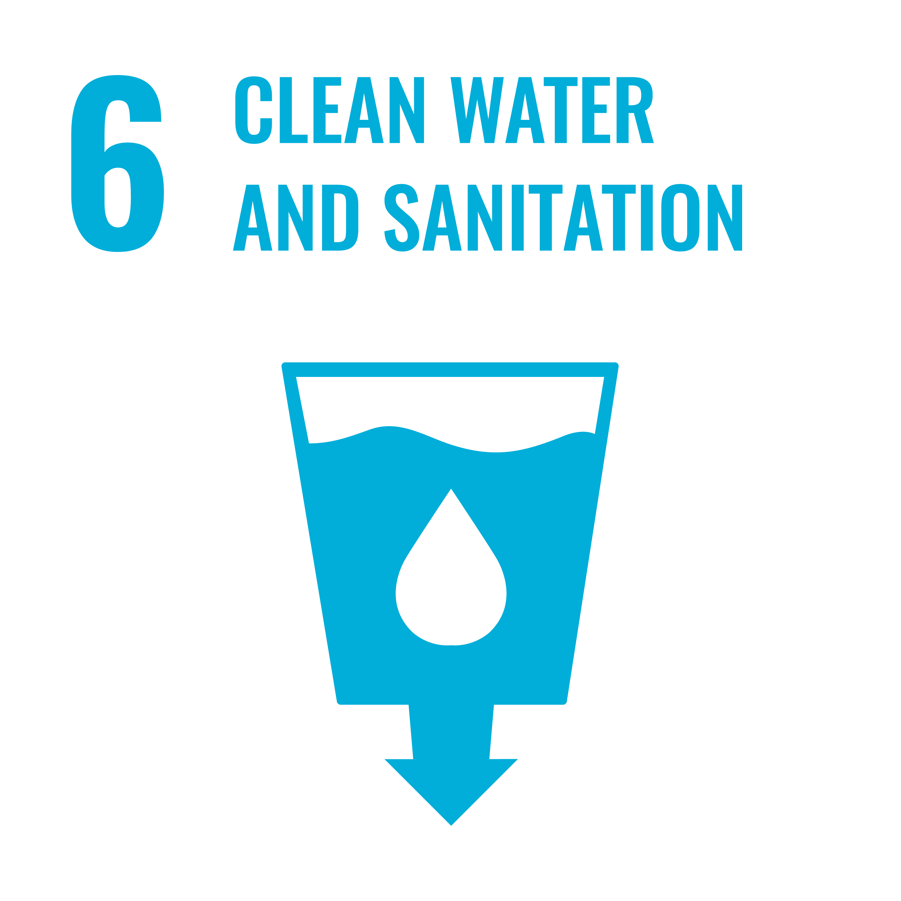 sdg6